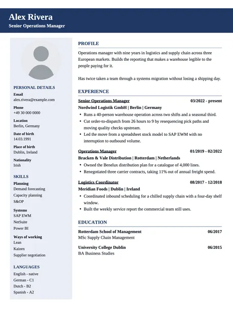 Designer CV design